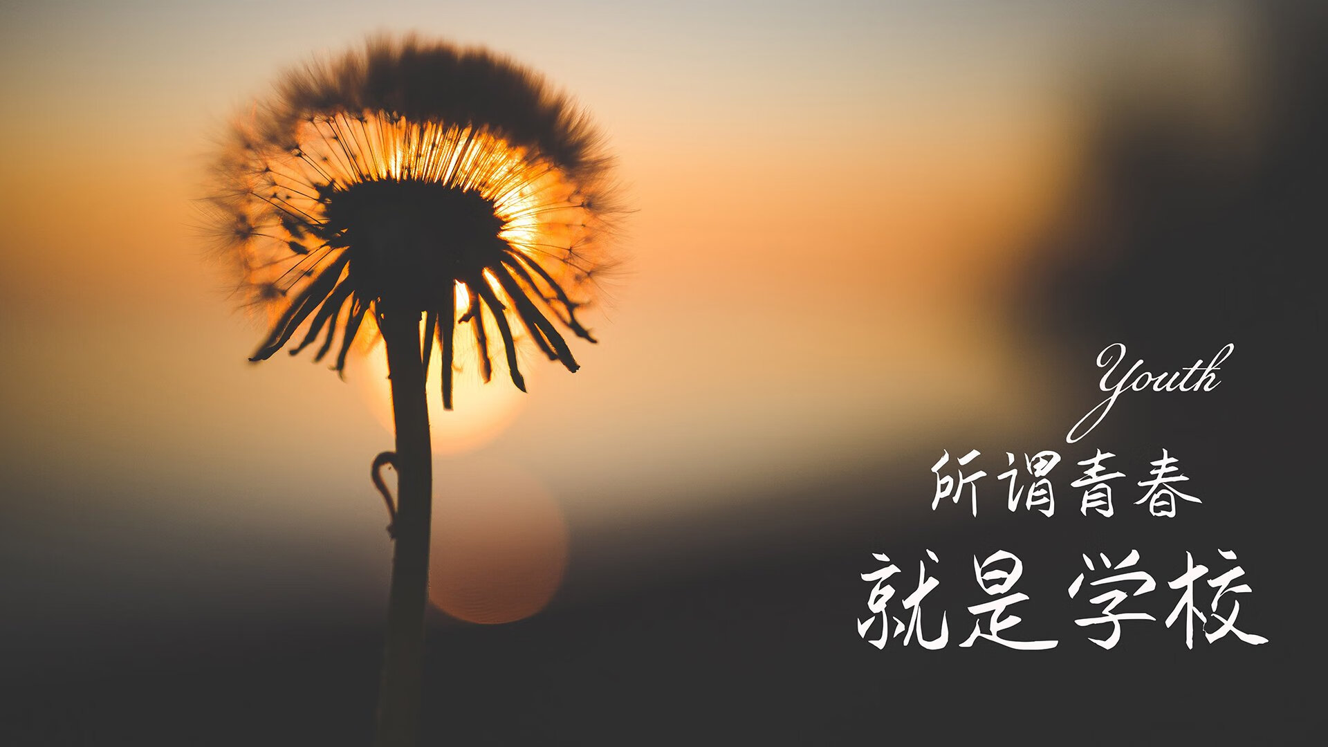 2026世界杯B组焦点战，日本完胜巴西，费利克斯独舞难救主，一场改写亚洲足球历史的激烈对决