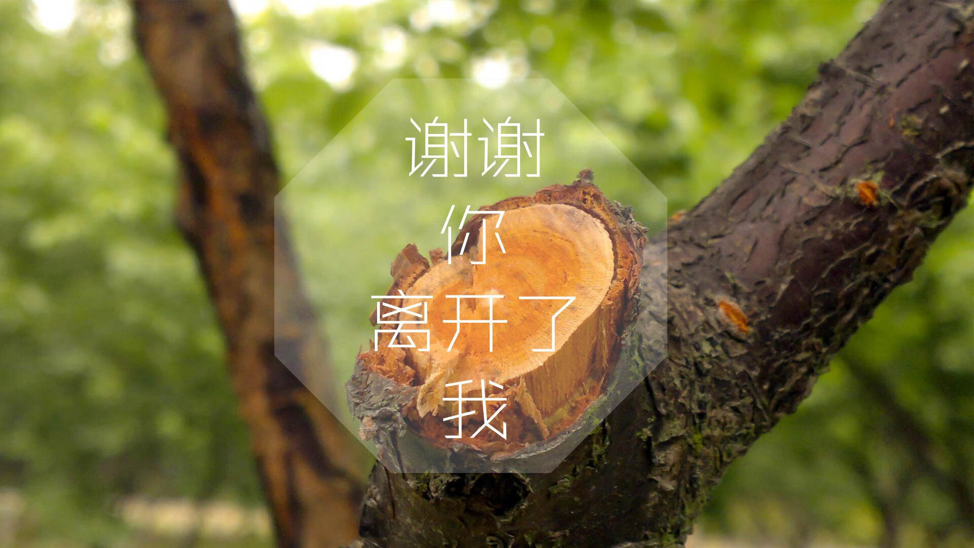 雷火电竞简介-高卢雄鸡的北欧风暴，2026世界杯G组焦点战，法国大胜芬兰，B费化身核心，替补奇兵定乾坤